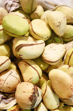 Load image into Gallery viewer, All white kola nuts 20 pieces