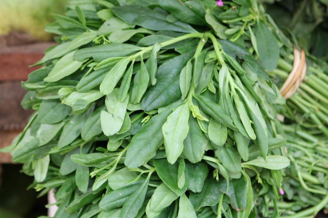 Water leaf