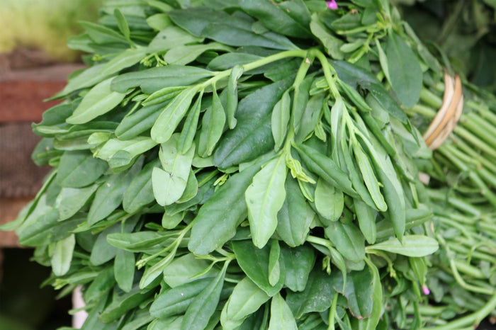 Water leaf
