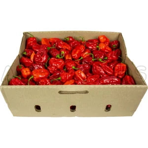 Habanero Red Pepper