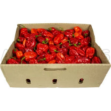 Load image into Gallery viewer, Habanero Red Pepper