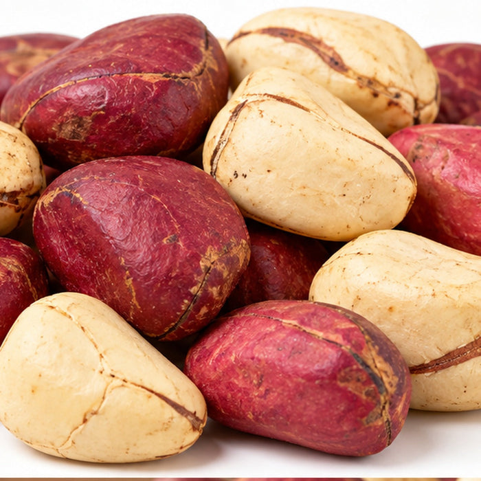 Illustrative product image of red and white kola nuts; actual appearance can vary