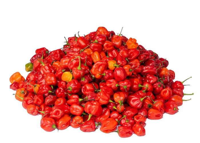 Habanero Red Pepper