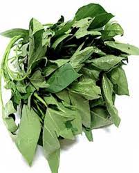 Bitter leaf(uncut)