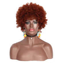 Load image into Gallery viewer, Curly Afro Wig Headgear