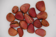 Load image into Gallery viewer, YORUBA KOLA NUTRITION 4-lobe African kola nuts 1/2 lb