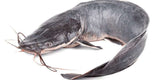 Catfish Whole (Cleaned)