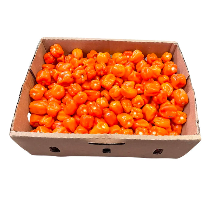 Orange Habanero