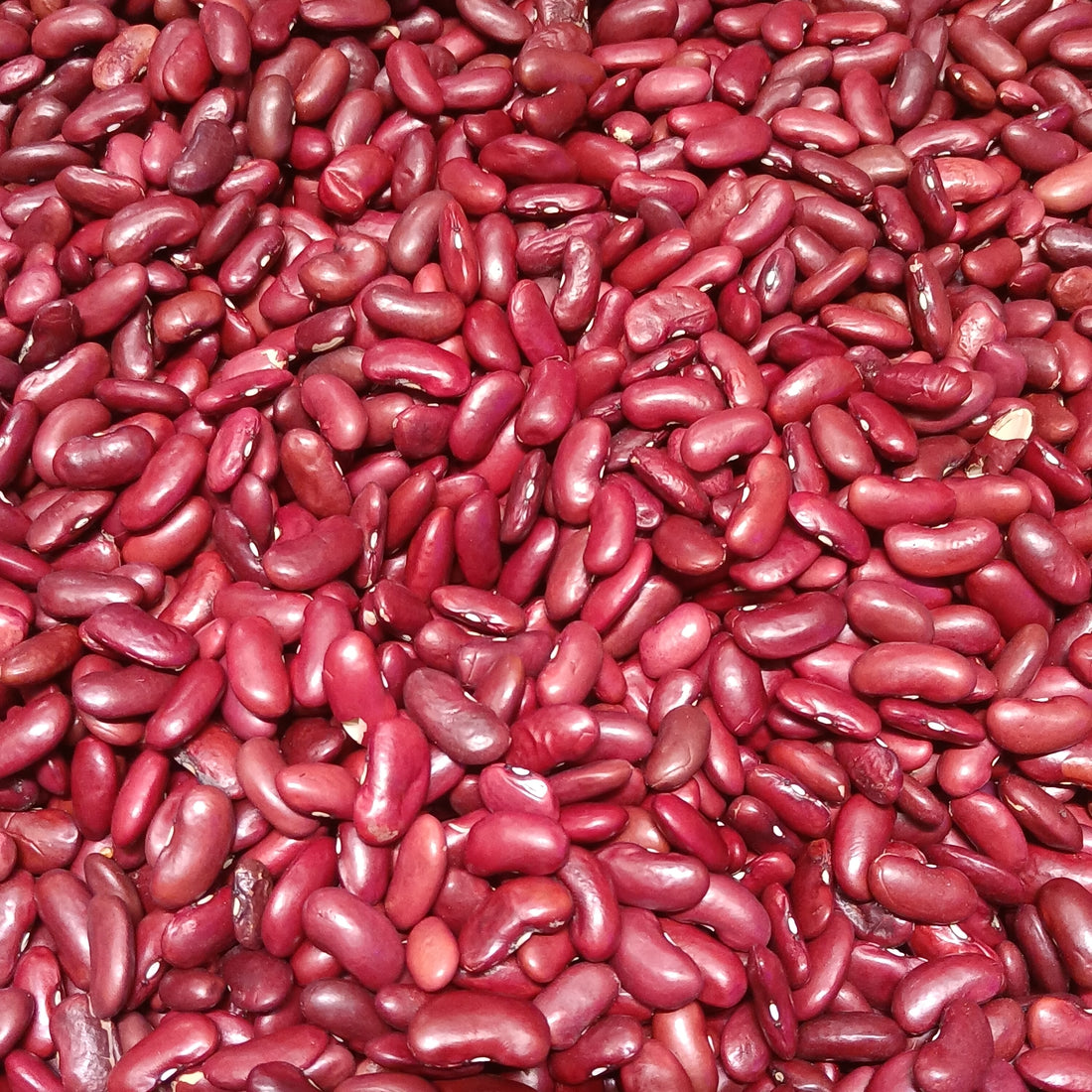 African red beans — representative ingredient image; packaging may vary