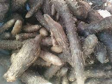 Load image into Gallery viewer, Dioscorea alata arial bulbils- true African yams