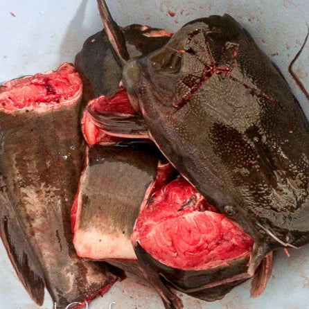 Catfish Whole (Cleaned)