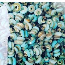 periwinkle