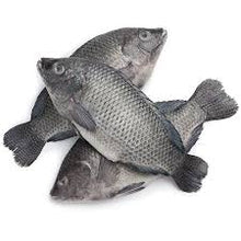 Load image into Gallery viewer, Tilapia Fish | Pack of 4