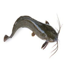 Load image into Gallery viewer, Catfish Whole (Cleaned)