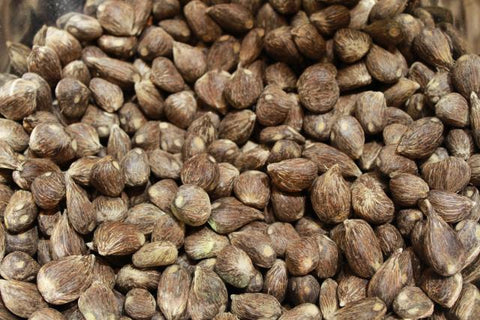 Ikines - African Palm Nuts - Ikinis (1lb)