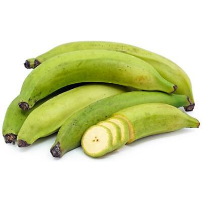 Fresh Green Plantain - 3