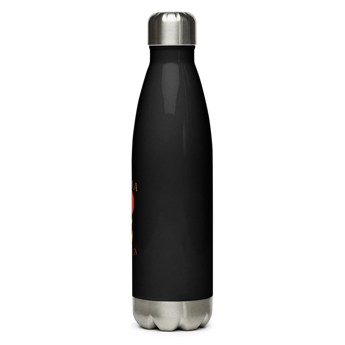 Stainless steel water bottle