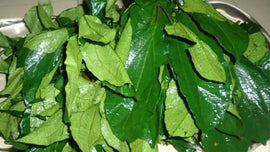 Ugu Leaves