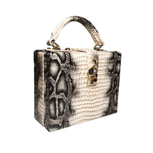 Load image into Gallery viewer, Snake Print Box Hand Bag