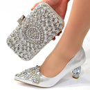 Rhinestone Embroidered Shoes and Bag Set
