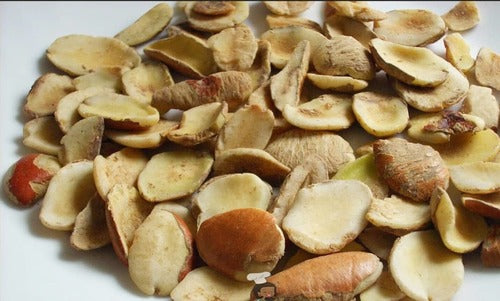 Exploring the ogbono seed fruit: culinary delights and health benefits from africa - Agric4Profits