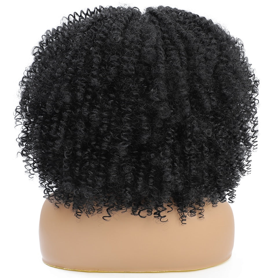 Afro Curly Wig For Black Women
